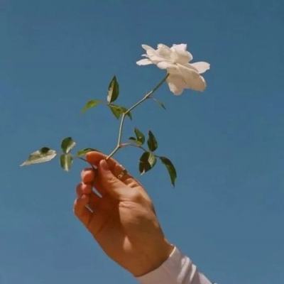 大西游破解版下载
